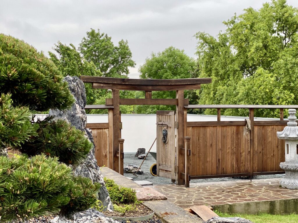 NT 25+: Das Richtige tun, zur richtigen Zeit. 4 IMG 1189